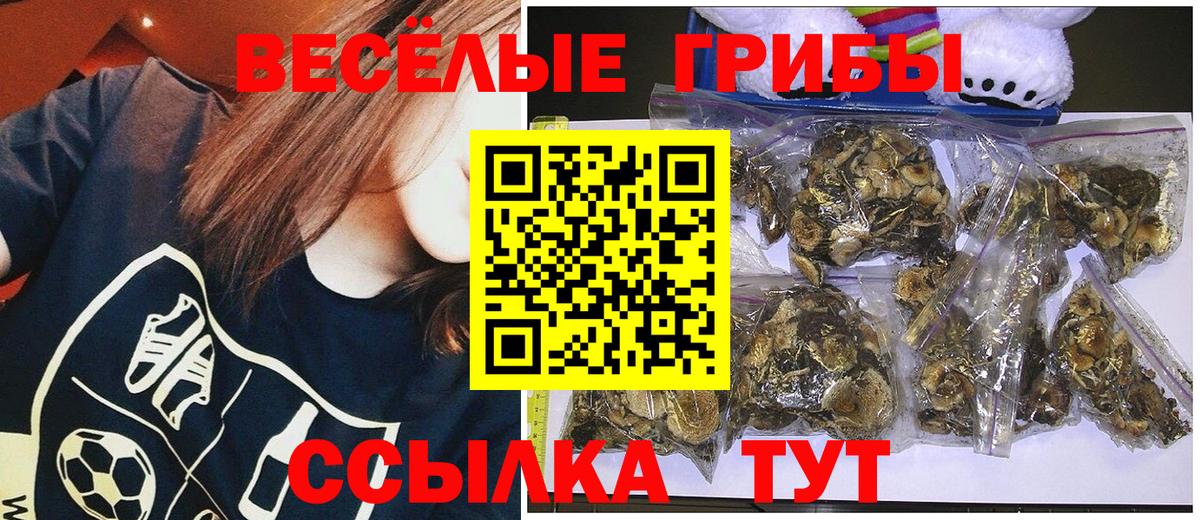 Псилоцибиновые грибы Psilocybe Сочи