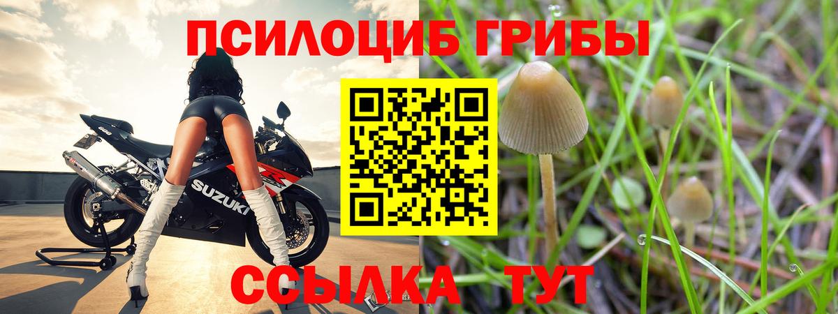 Сочи  Галлюциногенные грибы прущие грибы  где купить наркотик  Галлюциногенные грибы Psilocybe  Вход с VPN 