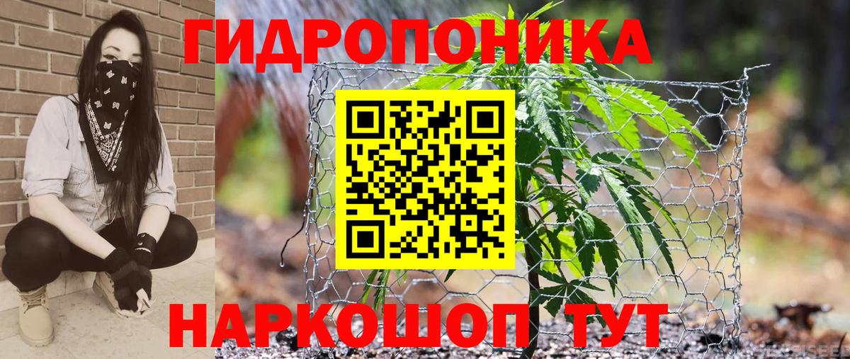 МАРИХУАНА конопля Сочи